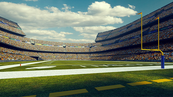 Sports, Stadiums & Music Complexes